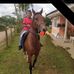Elia Castillo - Facebook