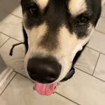 Elia castro - @eliaissogood - Instagram