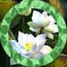 Eliam Cervera - Facebook