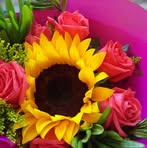 Elia Coronado Gomez - Facebook