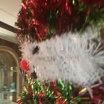 Elia Cuevas - @cuevas_elia - Instagram