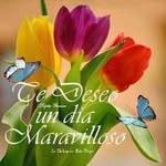 Elia Cuevas - @imprentaelfraile - Instagram