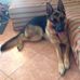 Elia Cuomo - Facebook