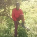 Elia Daniel - @eliadaniel63 - Instagram