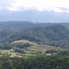 Eli - @eliadavis2012 - TikTok