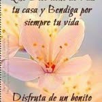 Elia Espinosa Delgado - @eliaespinosadelgado - Instagram