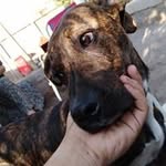 Elia Espinoza - @elia.espinoza.5011 - Instagram