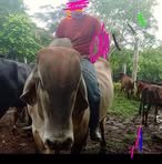 Elia Espinoza - Facebook
