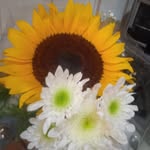 Elia Flores - @eliia1405.egfs - Instagram