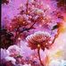 Elia Galindo - Facebook