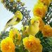 Elia Olvera - Facebook