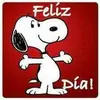 Elia Flores Solis815 - @eliafloressolis81 - TikTok