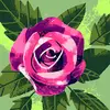 Mara Eliana Schultz - @mara.eliana.schul - TikTok