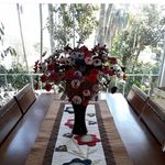 Eliane Proença - @eliane.proenca.9400 - Instagram