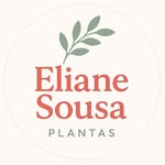 Eliane Sousa Plantas 🌿 - @_elianeplantas - Instagram