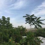 Elias Hisham Abdallah - @elias.abdallah.526 - Instagram