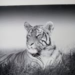 Elias Afram - @afram.elias - Instagram