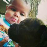 Elias chacon - @chacon_elias29 - Instagram
