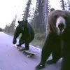 Elias Fox - @elias..fox - TikTok