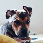@elias_huntley2 - Instagram