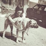 Elias khalaf - @eliasabedaljaleel - Instagram