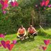 Elias Dhe Roots Master - Facebook