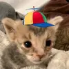 Elias McDaniel (Cappy) - @cappytheog - TikTok