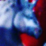 Elias Hamilton - @eliasmiles42 - Instagram