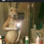 Elias Olvera Bárcenas - @elias_barcenas_olvera - Instagram