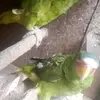 Elias Salgado - @elias.salgado77 - TikTok