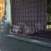 Elias Stein - @majsseku - TikTok