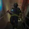 elias_stein - @elias_stein - TikTok