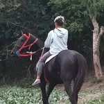 elias _Suárez - @elias_suarez_14 - Instagram