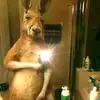Elias Suarez - @elias.suarez61 - TikTok