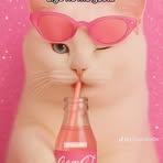 Elida Andrade - Facebook