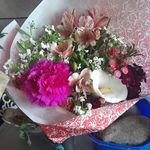 elida arce - @vieja_59 - Instagram