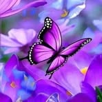 Elida Bravo - Facebook