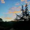 elidabravo😻💫 - @elidabravo50 - TikTok