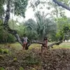 Elida Bustos - @elida.bustos - TikTok