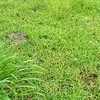 Elida Canales - @elida.canales - TikTok