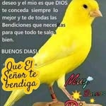 ELIDa Orozco - @elidaorozco3 - Instagram