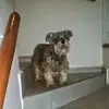 kiloElida Saenz - @kiloelida.saenz - TikTok