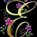 Elida Vega - Facebook