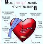 Elida Vega - @elidavegav - Instagram