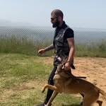 Elie Ayoub - @elieayoubk9crew - Instagram