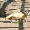 Elie Jacques - @elie.jacques5 - TikTok