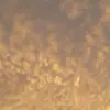 Elie Ramirez - @elie.ramirez46 - TikTok