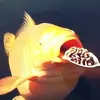 Elie Smith - @e.smith.ii - TikTok
