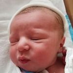 Avrohom Eliezer Friedman - @aefreedy - Instagram