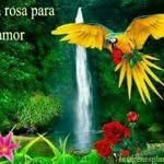 eliezer Ramirez - @eliezer___ramirez_ - Instagram